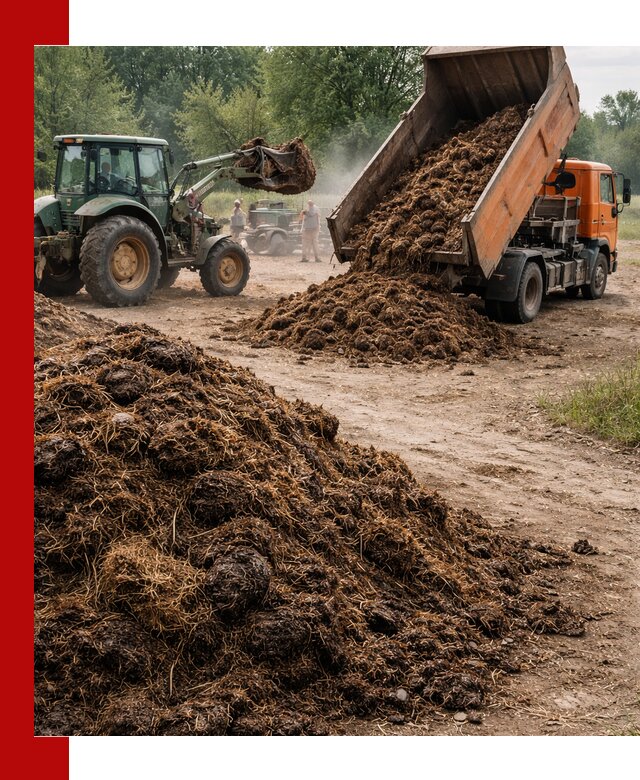 Доставка навоза самосвалами в Сургуте для сельхозпотребностей