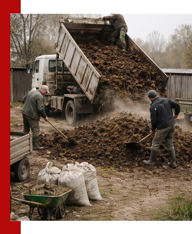 Доставка коровьего навоза самосвалом в Сургуте